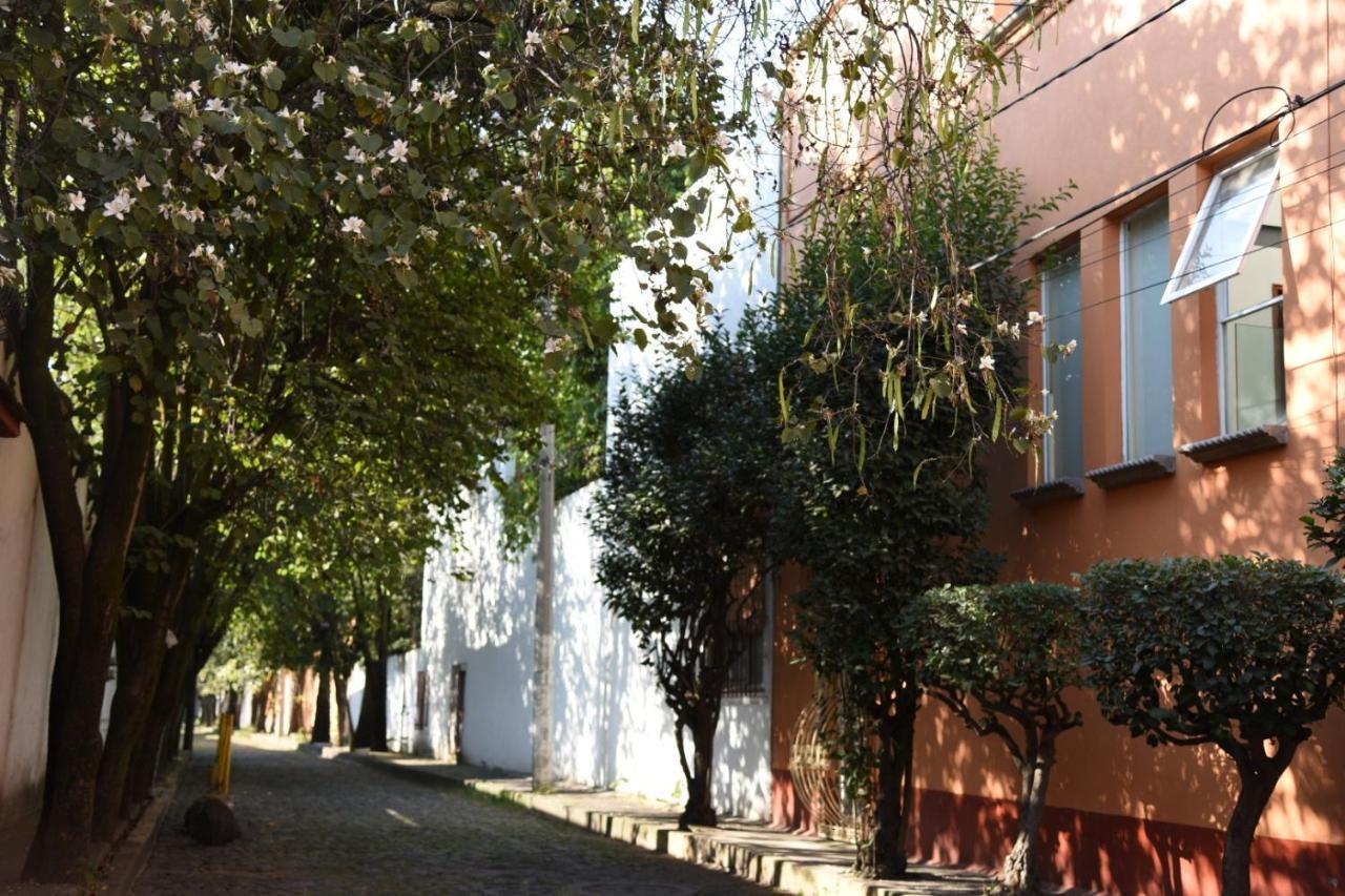 Casa Lulu Coyoacan Alvaro Obregon Extérieur photo