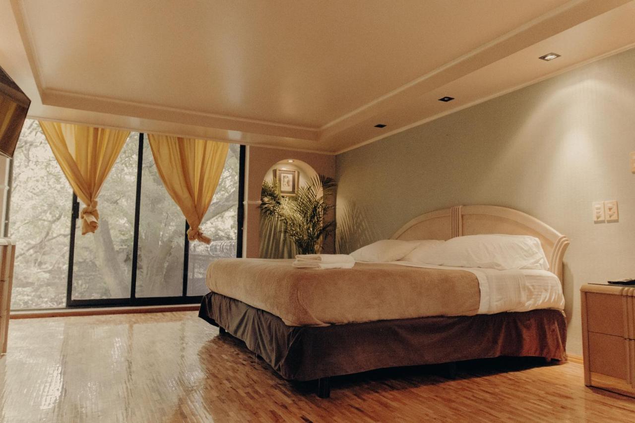 Casa Lulu Coyoacan Alvaro Obregon Extérieur photo
