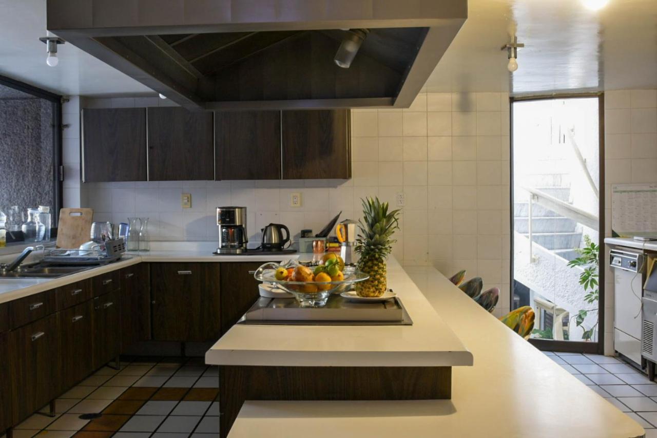 Casa Lulu Coyoacan Alvaro Obregon Extérieur photo
