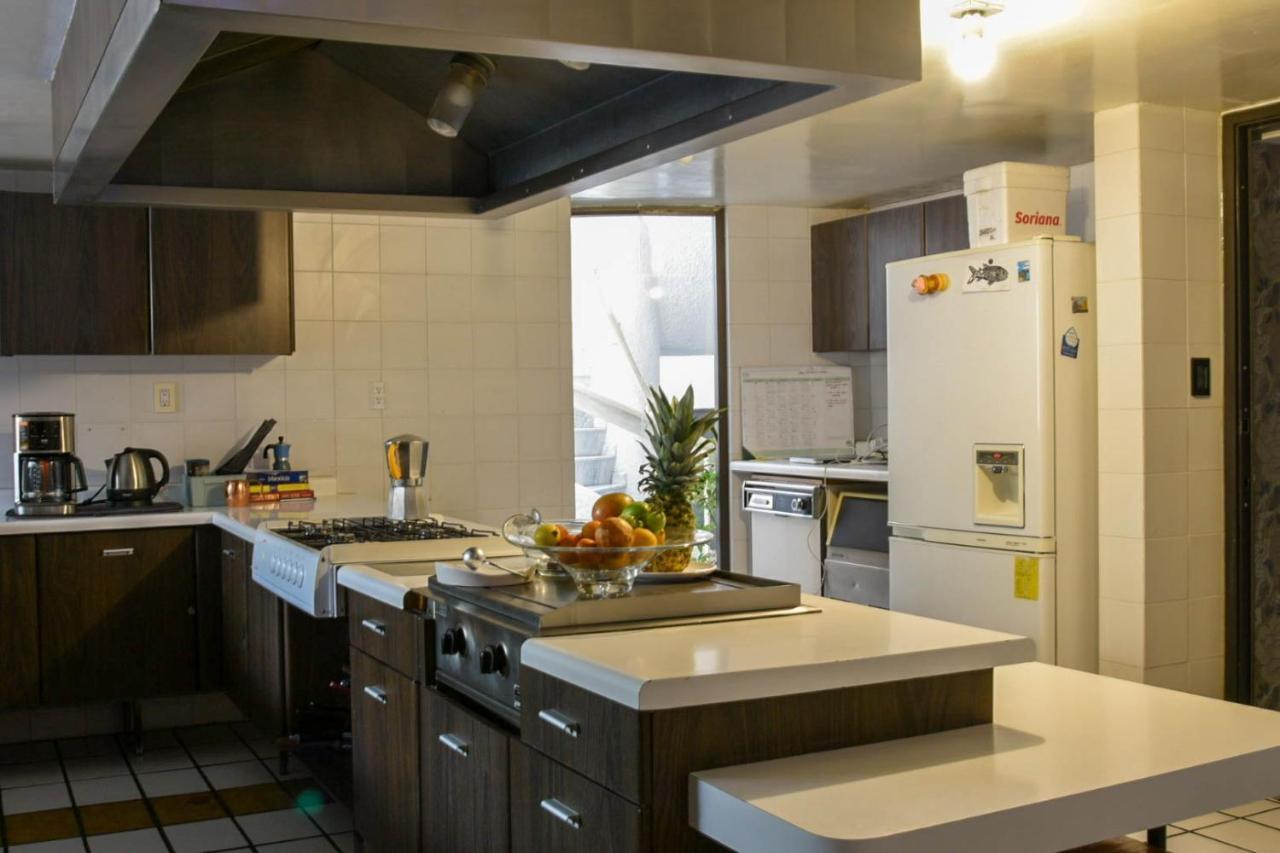 Casa Lulu Coyoacan Alvaro Obregon Extérieur photo