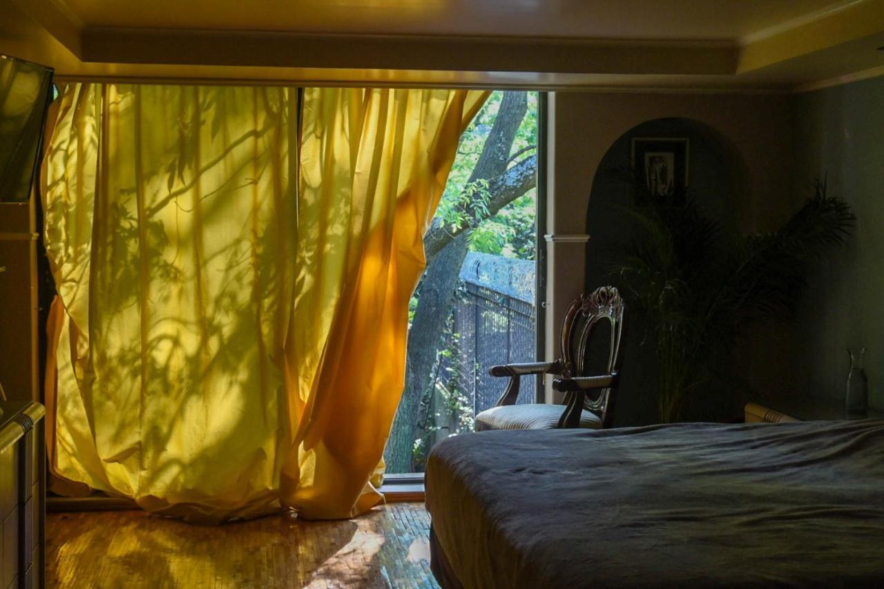 Casa Lulu Coyoacan Alvaro Obregon Extérieur photo